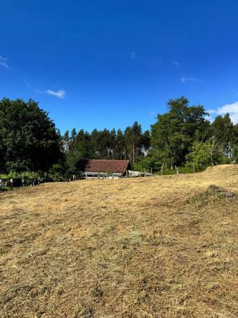 Terreno en N-120, 40