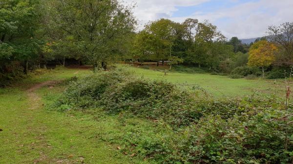 Terreno en Lugar Castro, 6