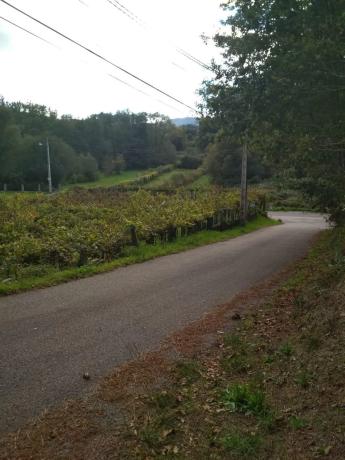 Terreno en calle Novexil s/n