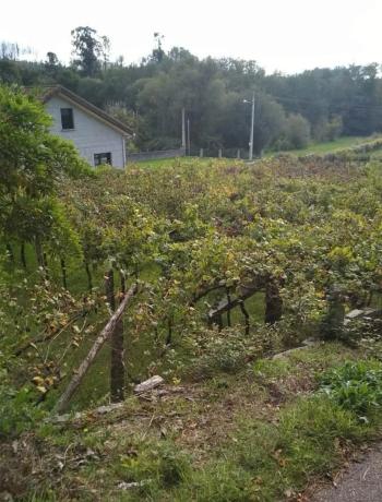 Terreno en calle Novexil s/n