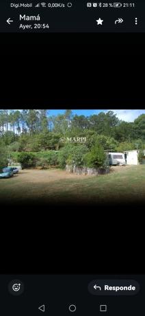 Terreno en padrones, 1