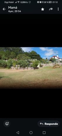 Terreno en padrones, 1