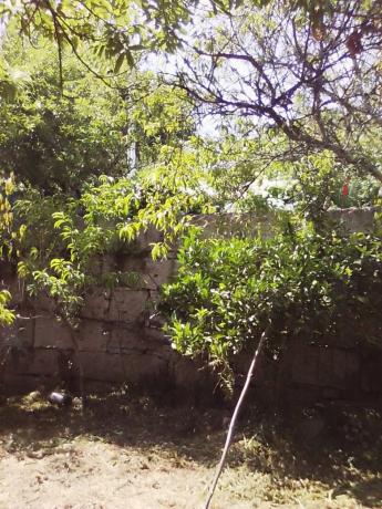 Terreno en Portela, 5