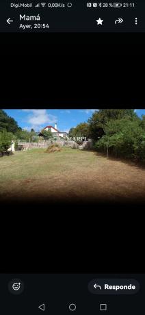 Terreno en padrones, 1