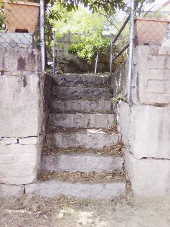 Terreno en padrones, 1