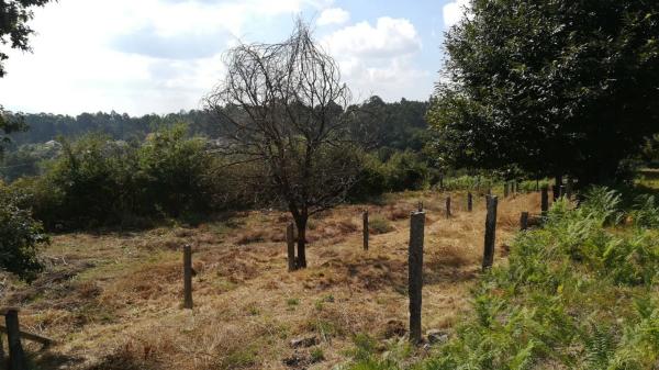 Terreno en Lugar a Cavadiña, 10