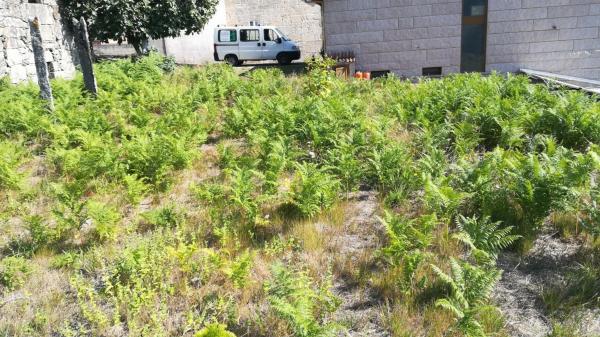 Terreno en Lugar a Cavadiña, 10