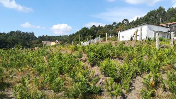 Terreno en Lugar a Cavadiña, 10
