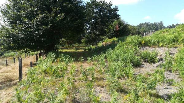 Terreno en Lugar a Cavadiña, 10