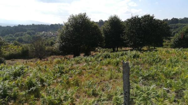 Terreno en Lugar a Cavadiña, 10