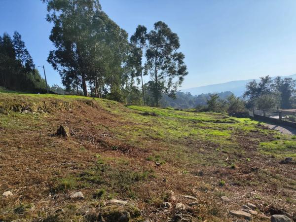Terreno en Lugar Viña Pazo, 20 b