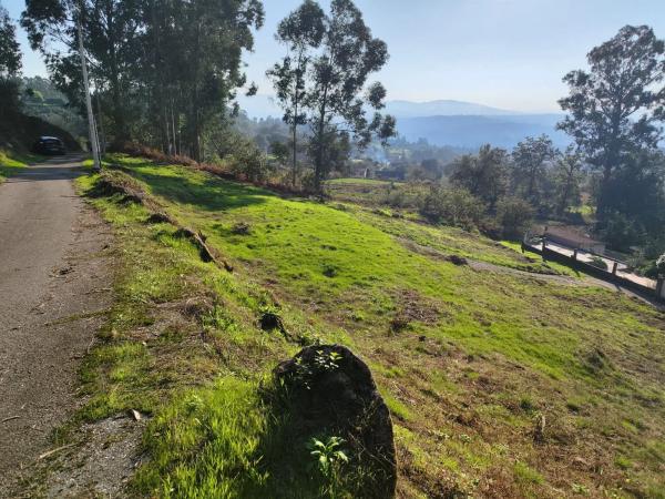 Terreno en Lugar Viña Pazo, 20 b