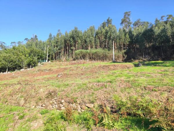 Terreno en Lugar Viña Pazo, 20 b