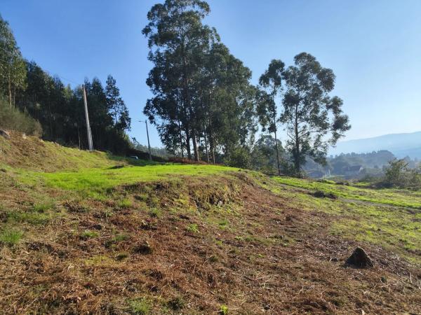Terreno en Lugar Viña Pazo, 20 b