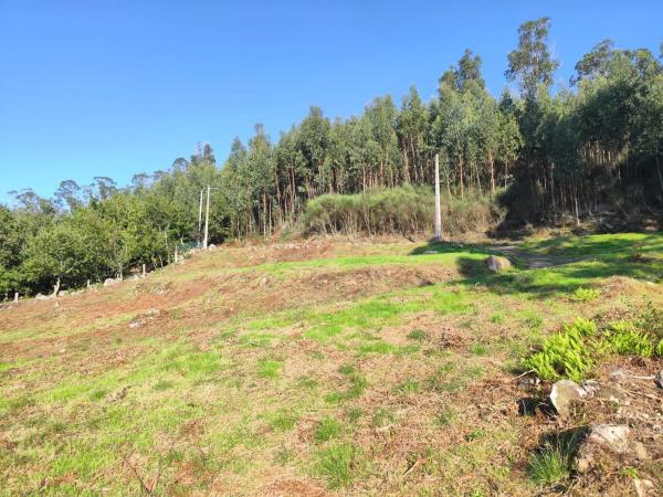Terreno en Lugar Viña Pazo, 20 b