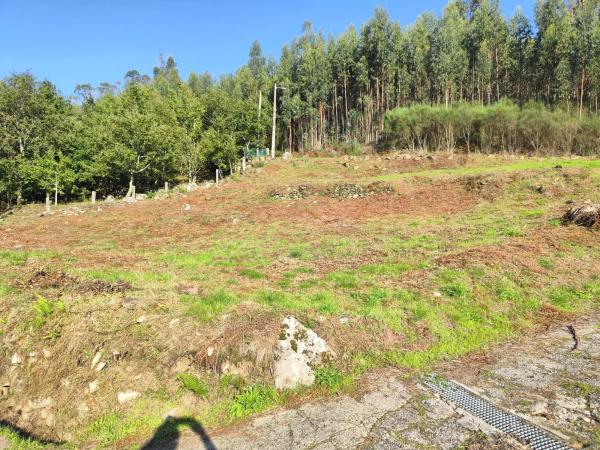 Terreno en Lugar Viña Pazo, 20 b