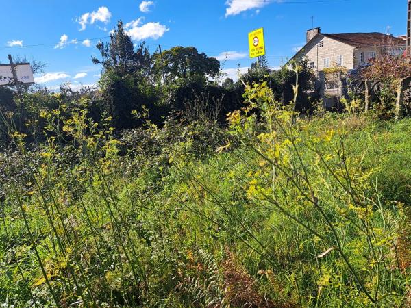 Terreno en N-120, 11