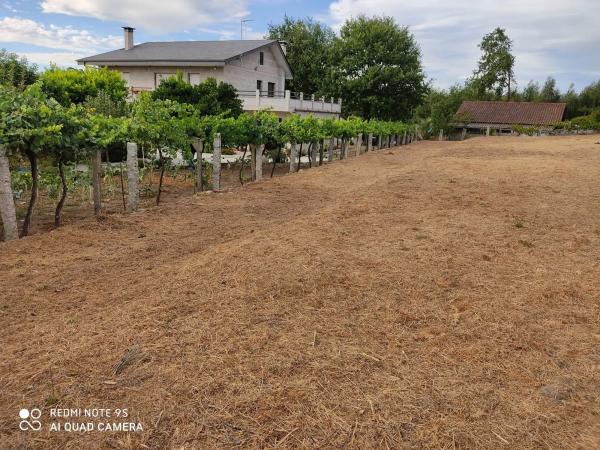 Terreno en N-120, 11