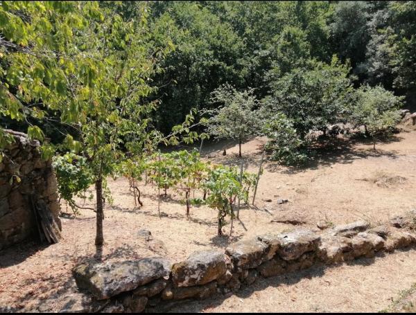 Terreno en Hermida, 1