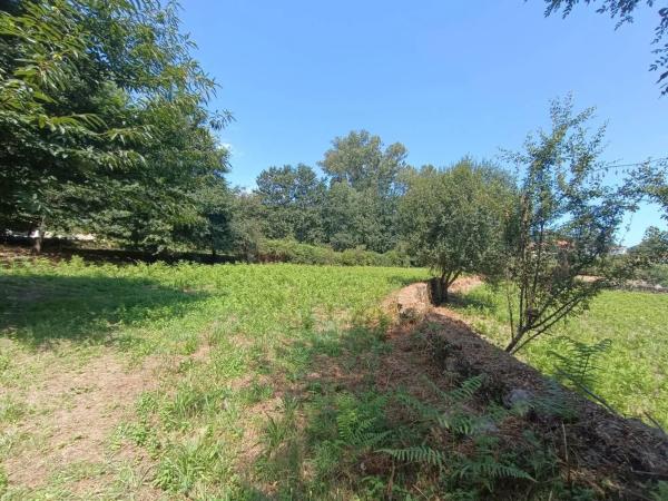 Terreno en Barro Carballal