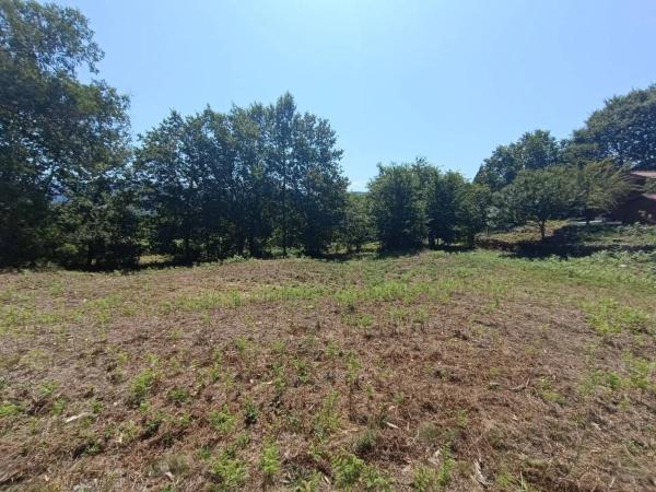 Terreno en Barro Carballal