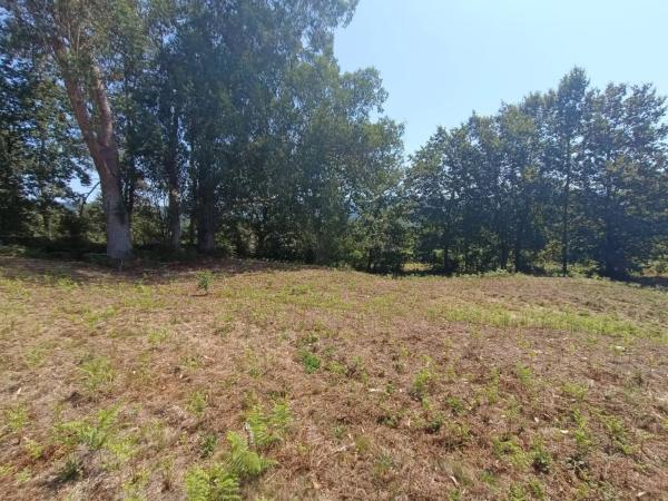 Terreno en Barro Carballal