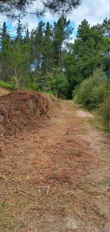 Terreno en San Roque, 20