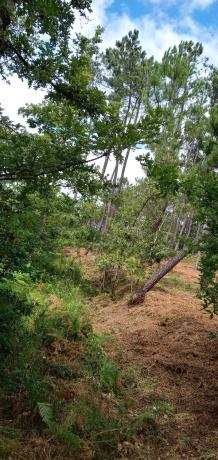 Terreno en San Roque, 20
