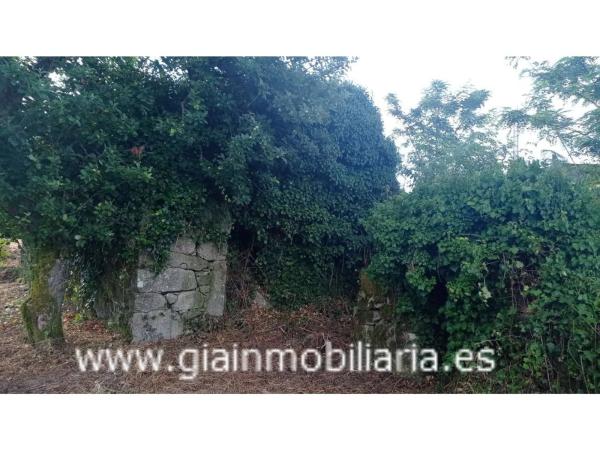 Terreno en Lugar a Ascension