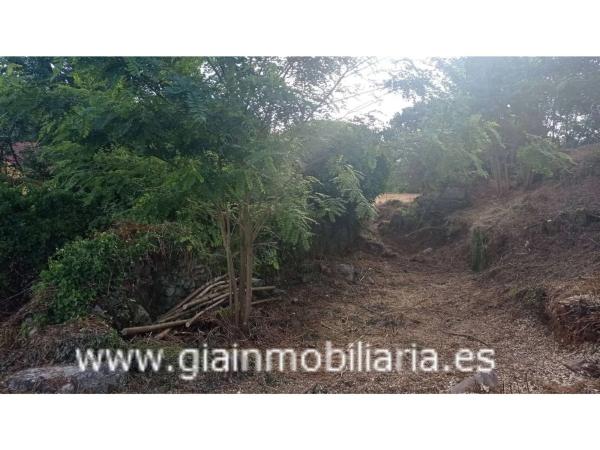 Terreno en Lugar a Ascension