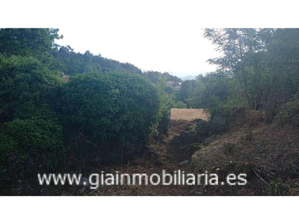 Terreno en Lugar a Ascension