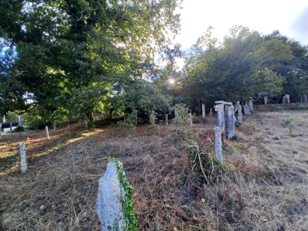 Terreno en Sotolobre- Lugar de Buenos días, 11