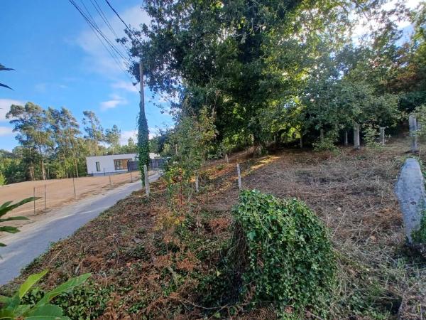 Terreno en Sotolobre- Lugar de Buenos días, 11