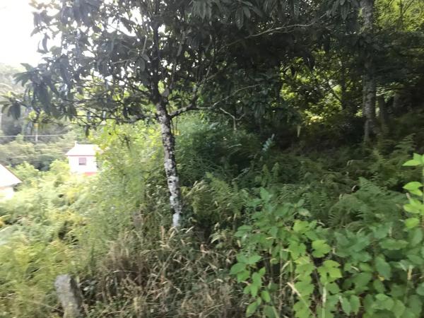 Terreno en Lugar Carballeira, 3