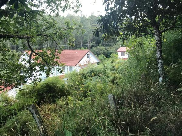 Terreno en Lugar Carballeira, 3