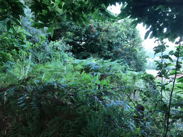 Terreno en Lugar Carballeira, 3