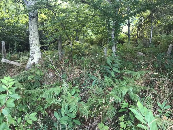 Terreno en Lugar Carballeira, 3