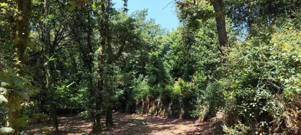 Terreno en avenida Vilasobroso, 1