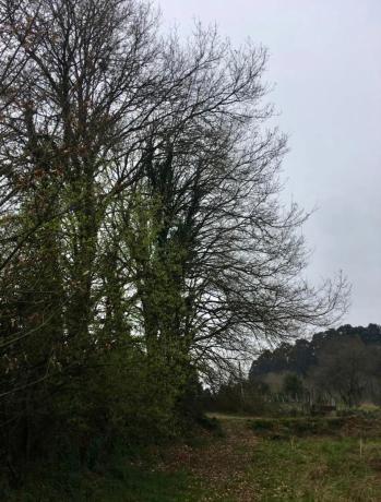 Terreno en Bragada, 1