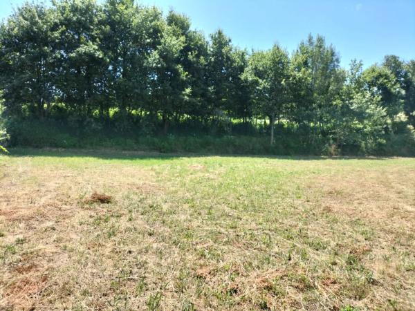 Terreno en San Xoán de Vilacova s/n eArribaCasal