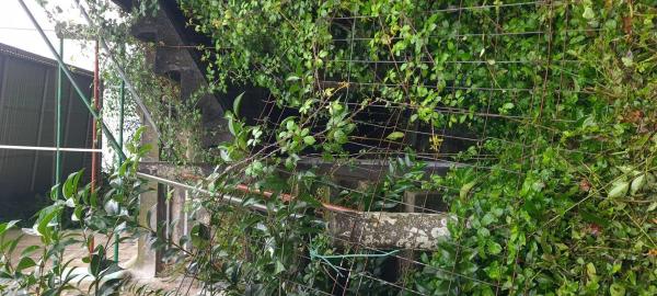 Terreno en Mondariz-Balneario