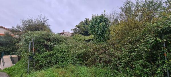 Terreno en Mondariz-Balneario