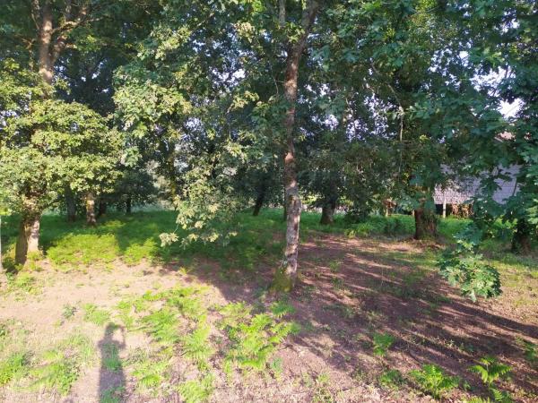 Terreno en Meder s/n