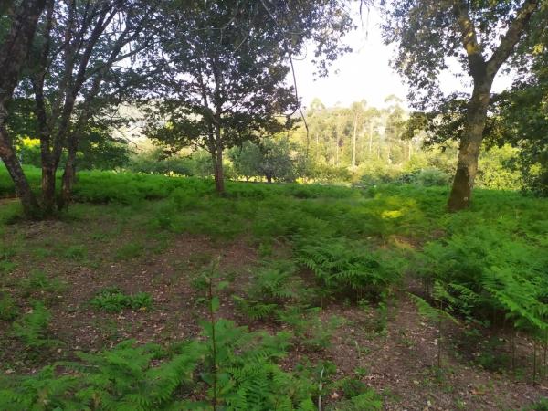 Terreno en Meder s/n