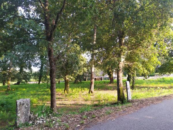 Terreno en Meder s/n