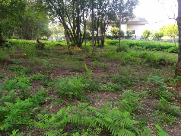 Terreno en Meder s/n