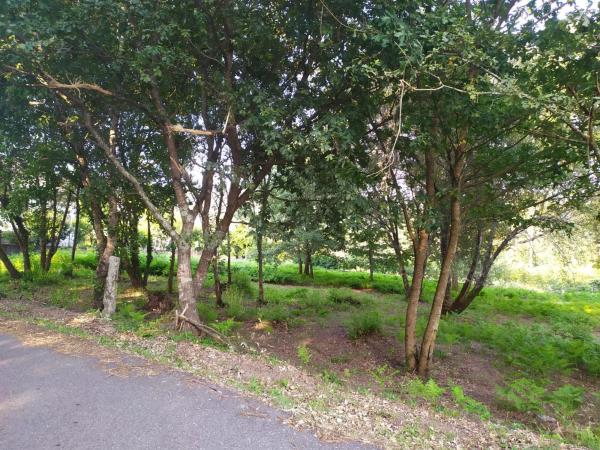 Terreno en Meder s/n