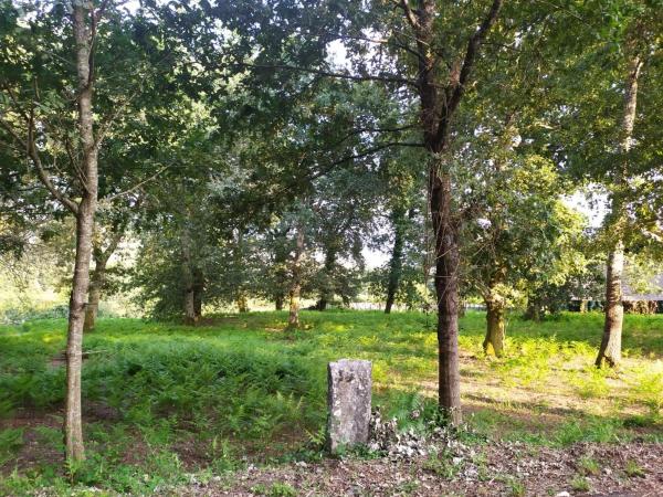 Terreno en Meder s/n