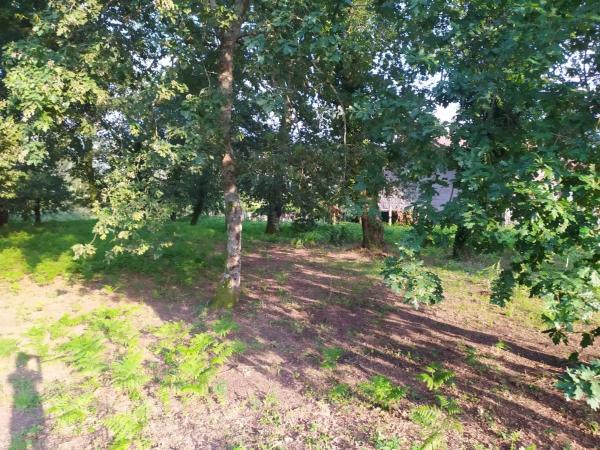 Terreno en Meder s/n