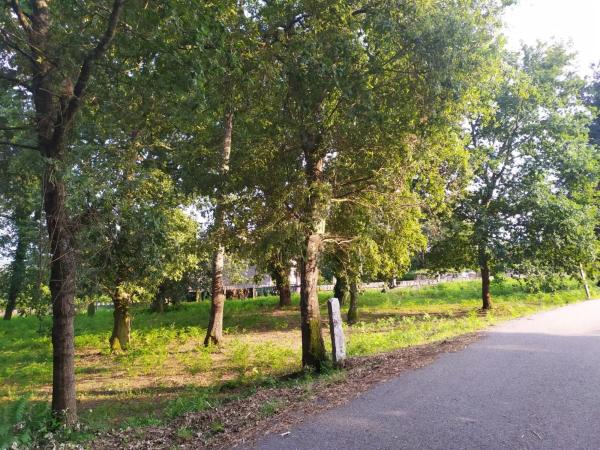 Terreno en Meder s/n